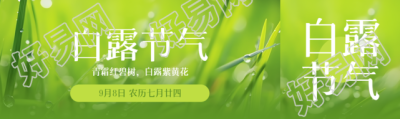 绿色的小草实景白露节气宣传公众号封面图