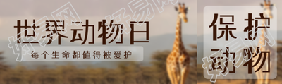 每个生命都值得被爱护世界动物日公众号封面图