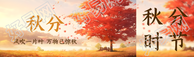 漫画风高大枫树秋分时节公众号封面图