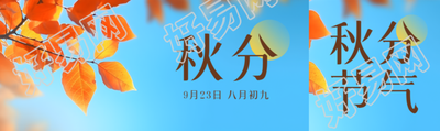 清澈蓝天红色树叶秋分节气公众号封面图