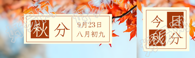 简约高级感二十四节气秋分公众号封面图