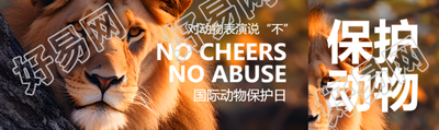 森林中的狮子实景世界动物日宣传公众号封面图