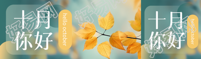 极简风秋季树叶十月你好公众号封面图