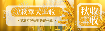 坚决打好秋收关键一战创意公众号封面图