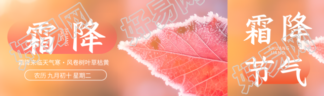 秋季的最后一个节气霜降实景公众号封面图