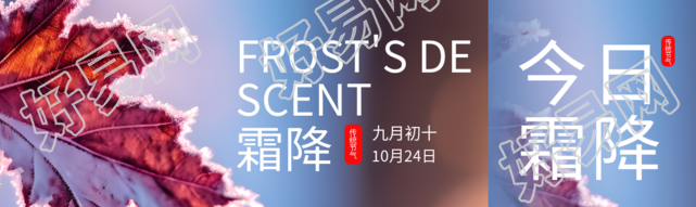 九月初十霜降时节落叶实景公众号封面图