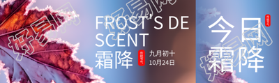 九月初十霜降时节落叶实景公众号封面图