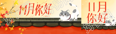 11月你好红墙上的可爱猫咪公众号封面图