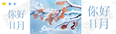 你好11月冬季树叶枝干实景公众号封面图
