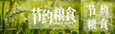 小清新风格节约粮食小麦实景公众号封面图
