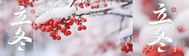 立冬节气雪景中的红浆果实景公众号封面图