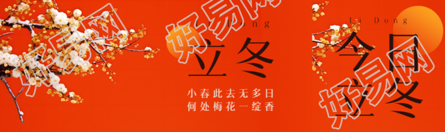 寒风中的腊梅实景立冬节气宣传公众号封面图