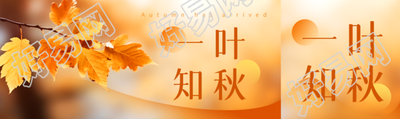 弥散风一叶知秋黄色树叶实景公众号封面图
