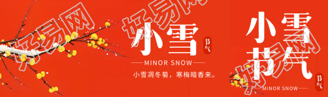 小雪节气黄色蜡梅唯美景色公众号封面图