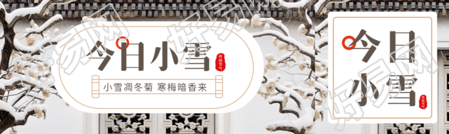 小雪凋冬菊寒梅暗香来实景宣传公众号封面图