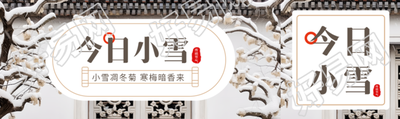 小雪凋冬菊寒梅暗香来实景宣传公众号封面图