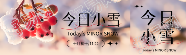 唯美红浆果实景今日小雪公众号封面图