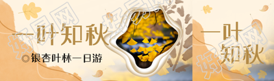一叶知秋银杏叶林一日游创意公众号封面图