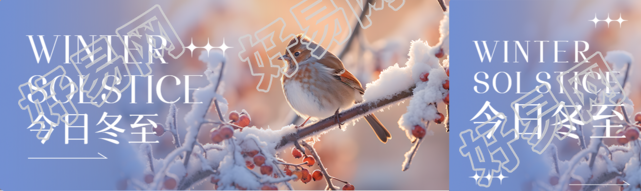 今日冬至雪中的小胖鸟实景公众号封面图