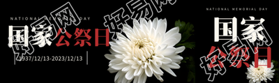 国家公祭日白菊花简约公众号封面图