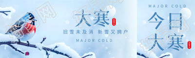大寒时节鸟儿实景公众号封面图