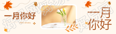 一月你好鲜花实景公众号封面图