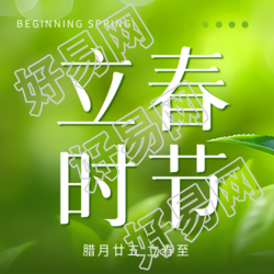 立春时节绿叶实景微信公众号次图