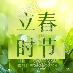 立春时节绿色光影微信公众号次图