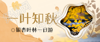 金黄色银杏叶实景一叶知秋唯美微信公众号首图
