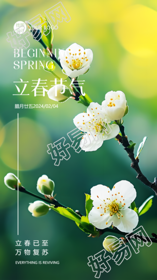 立春节气花朵实景宣传手机海报