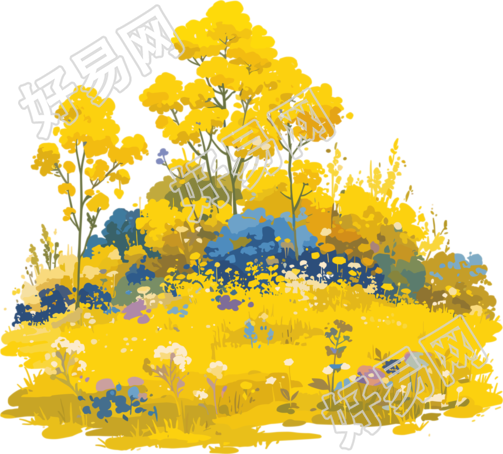油菜花透明背景素材