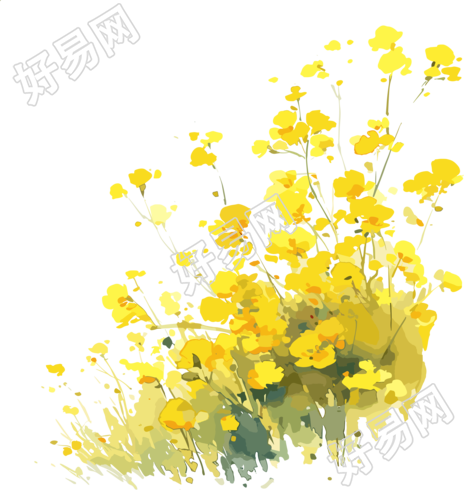 油菜花简单图案素材