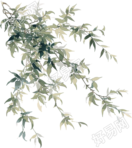 柳枝图形素材