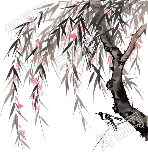 柳枝水墨画插图