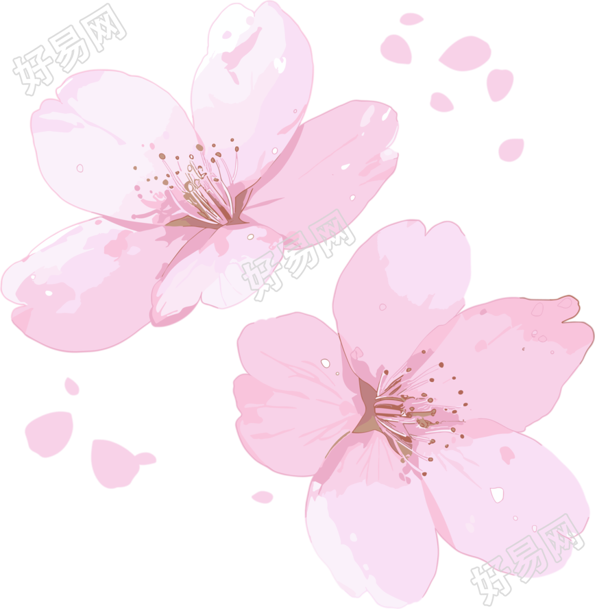 樱花花瓣图案素材