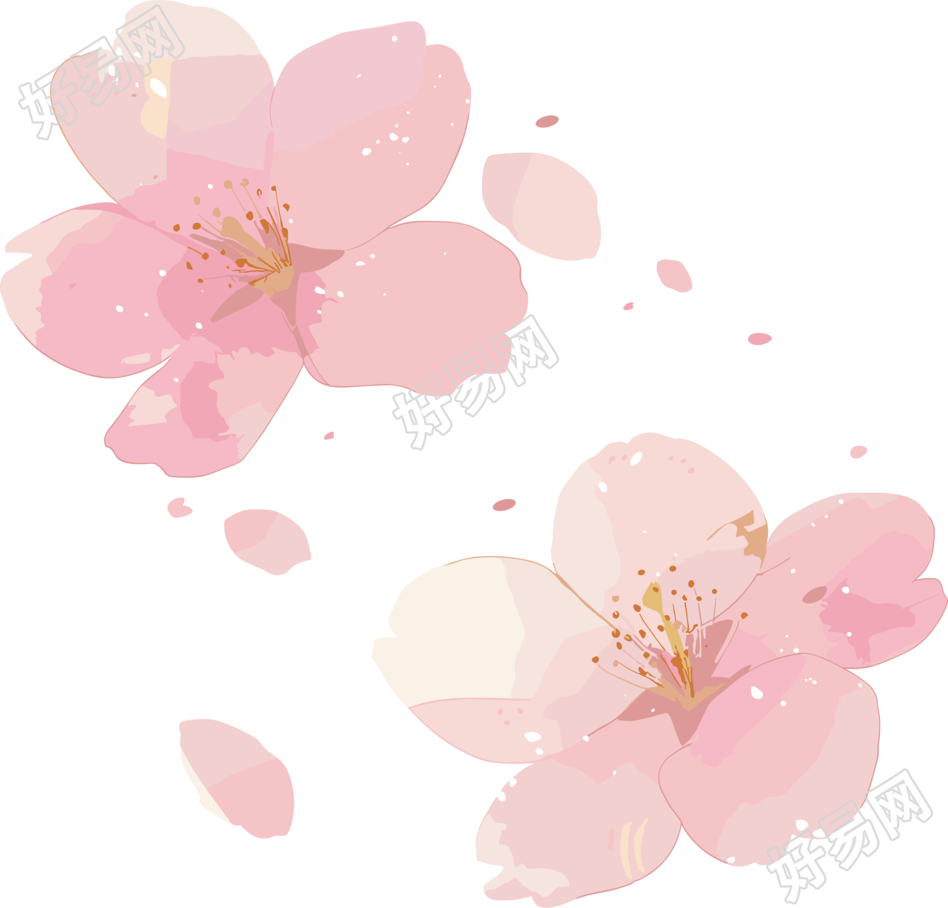 樱花花瓣透明背景元素