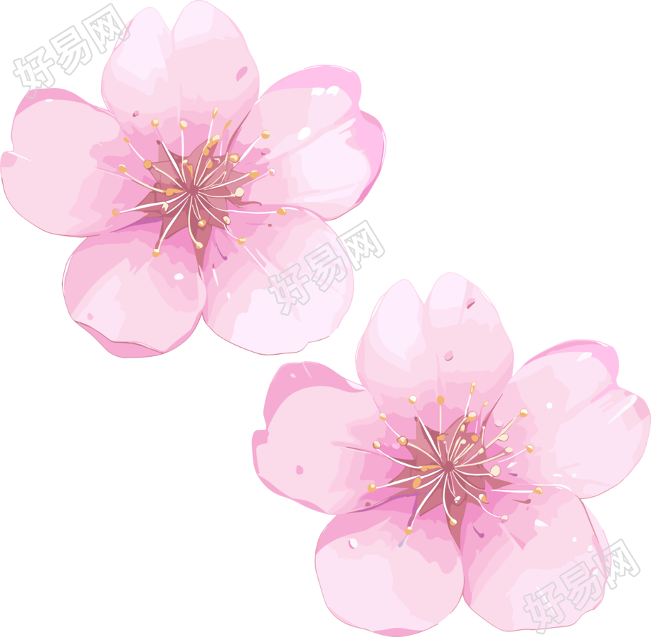 樱花花瓣3D可商用素材