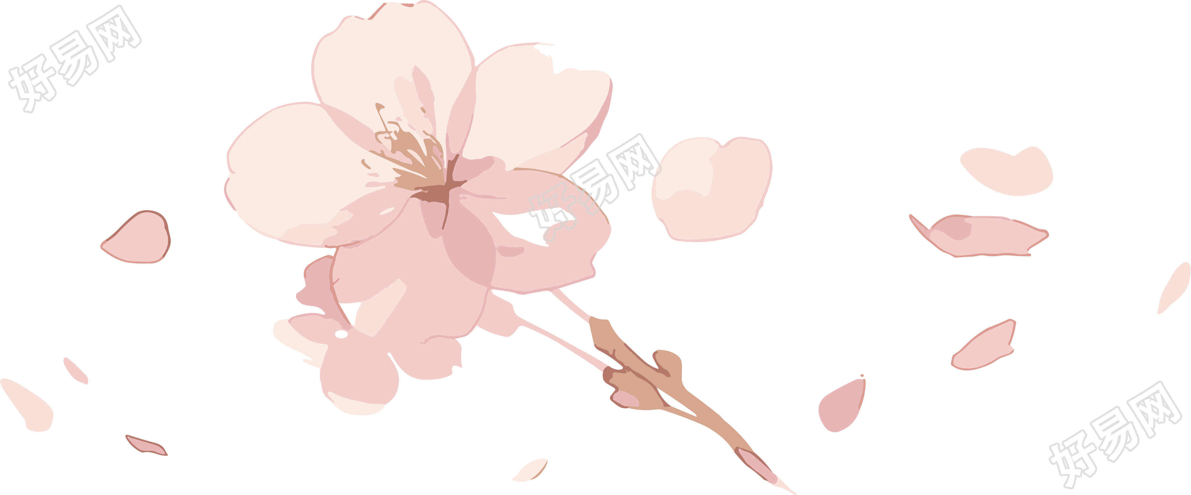 樱花花瓣简约插图