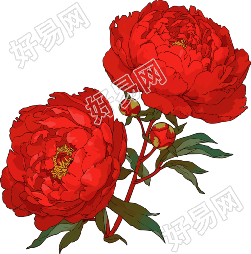 红牡丹图形素材