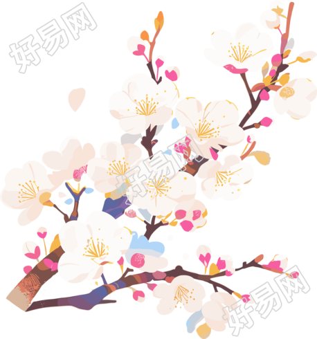 白色樱花创意设计元素