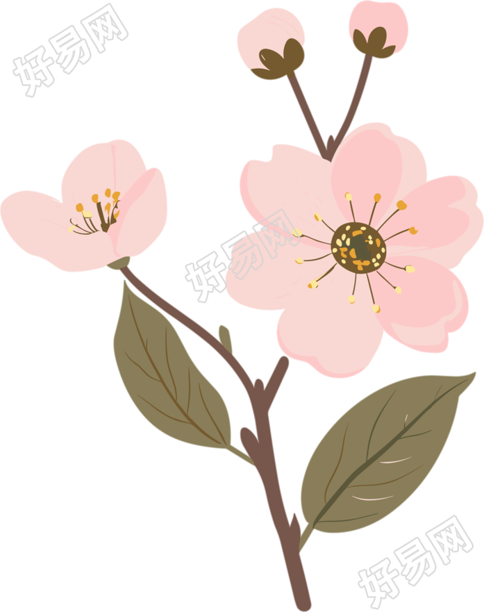 粉色樱花透明背景插图