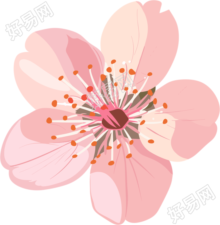 粉色樱花精美素材