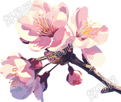 粉色樱花PNG插图