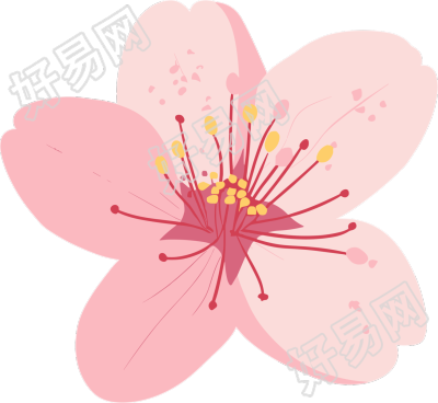 粉色樱花商用插画