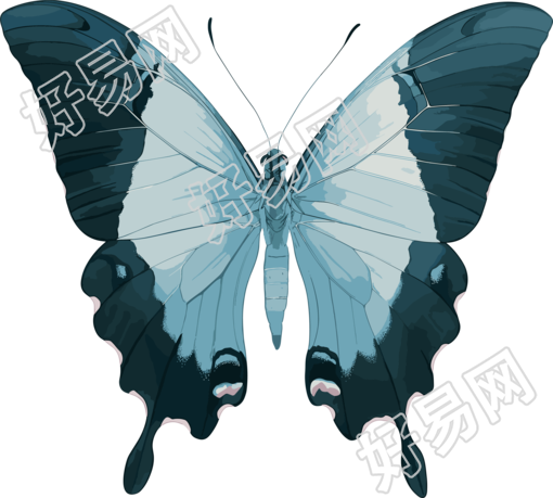 水彩蝴蝶商业插画
