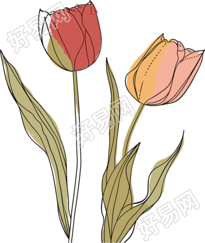 抽象植物插画设计