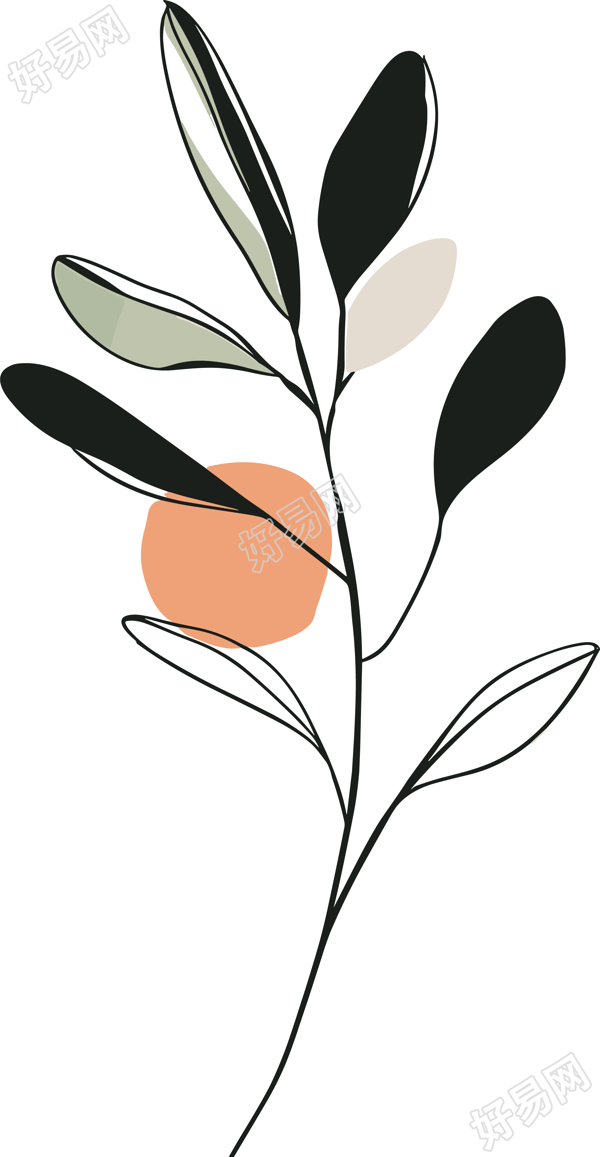 抽象植物简约线条素材