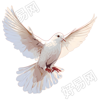 白鸽商业设计元素
