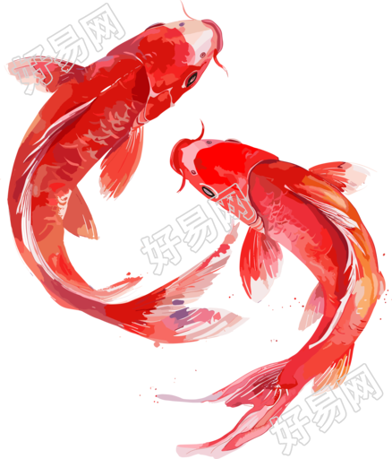 红色锦鲤中式插画