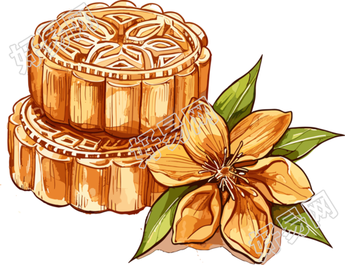 月饼桂花插画